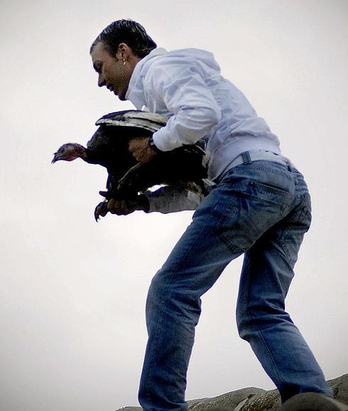 Pacma recurrirá el auto que niega medidas cautelares para evitar el lanzamiento de la pava