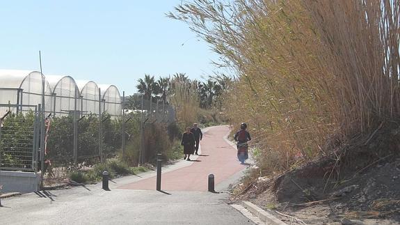 El Defensor abre queja por el mal estado del acceso a la UAL desde La Cañada