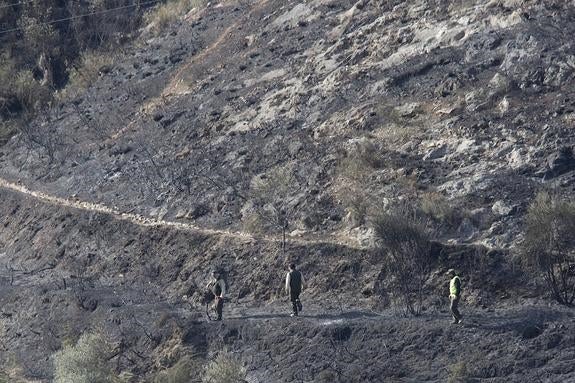 La mano del hombre puede estar detrás de los tres incendios, uno de ellos intencionado