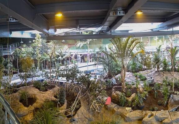 La vida brota en el Biodomo