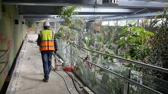 Equo dice que el Biodomo será "poco más que un zoo exótico"