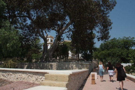 La precariedad laboral frena las denuncias de las víctimas de maltrato