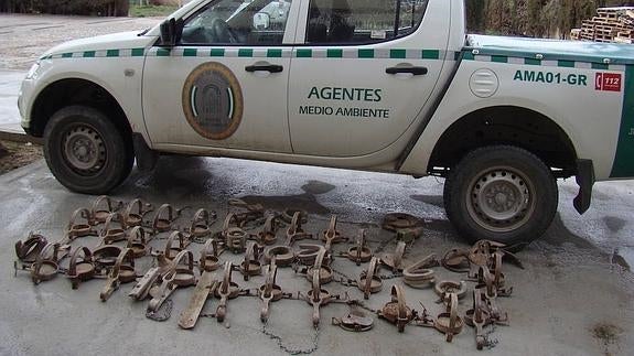Decomisan 28 cepos de caza prohibidos en Orce