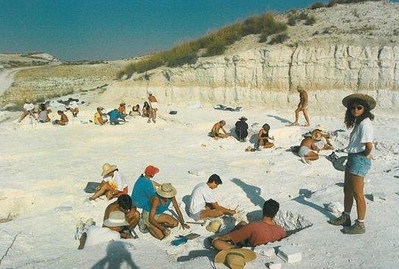 El hombre llegó a Orce por Gibraltar