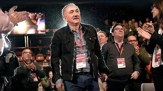 Pepe el indomable | Ideal