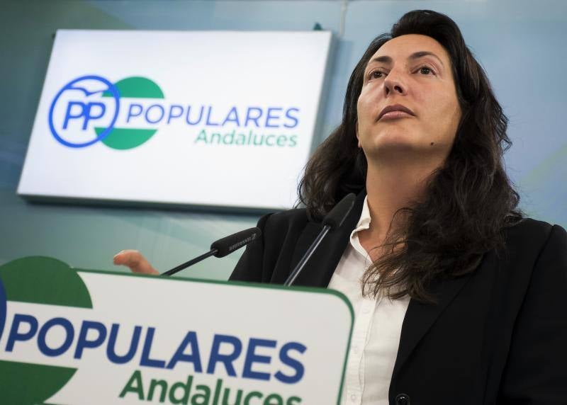 PP-A dice que Torres Hurtado "debe dimitir" por la "gobernabilidad y la estabilidad" de Granada