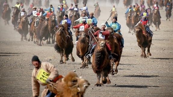 La fiesta de las 2.000 jorobas