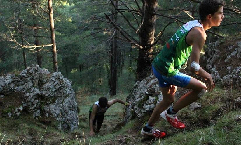 Valle de Lecrín, el epicentro