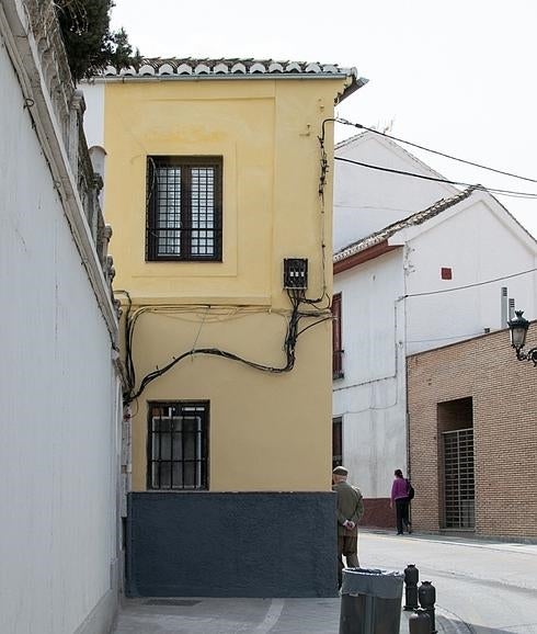 ¿El adiós definitivo a la jirafa del Realejo?