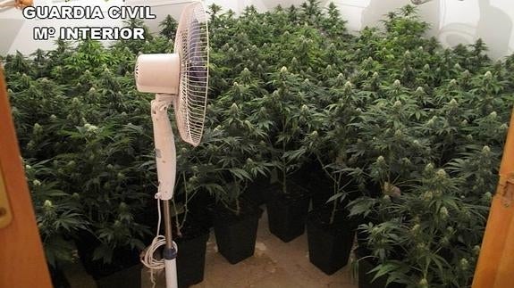 La Guardia Civil decomisa casi dos toneladas de marihuana en dos días
