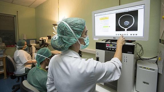 La lista de espera para reproducción asistida llega a los 17 meses, la máxima en Andalucía