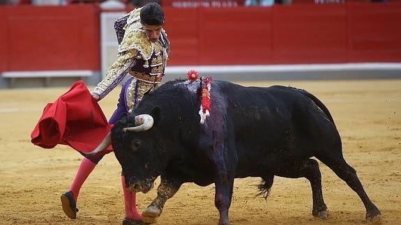 Entregan a la ganadería de Zalduendo el trofeo al mejor toro del Corpus 2015