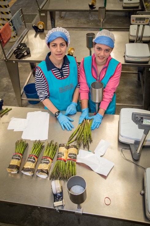 El pujante sector del espárrago da empleo ya a 1.800 mujeres