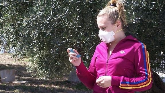 Sin tregua para los alérgicos pese al descenso del polen del olivo