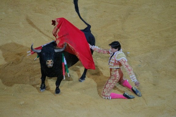 Dos gallos de pelea y un maestro en ejercicio