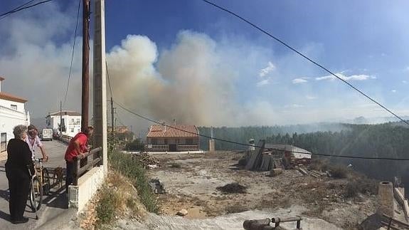 Los incendios de Cortes de Baza y Castilléjar afectaron a 0,3 hectáreas cada uno
