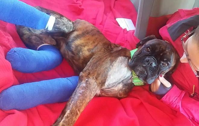 Unas 'patitas' para Negrito