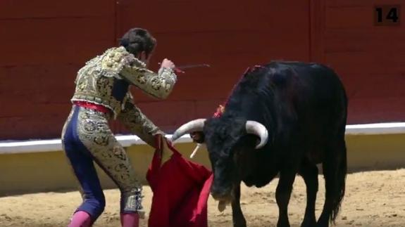 Pacma denuncia el sufrimiento de un toro hasta morir por 14 estocadas en una escuela taurina