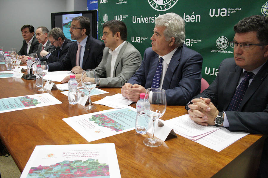 Los Cursos de Verano de la UJA en Torres incluirán una videoconferencia de Julian Assange