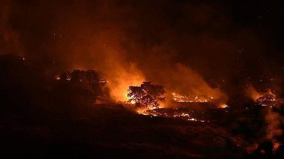 Piden 15 años de cárcel para el acusado de incendiar la Sierra de la Camuña