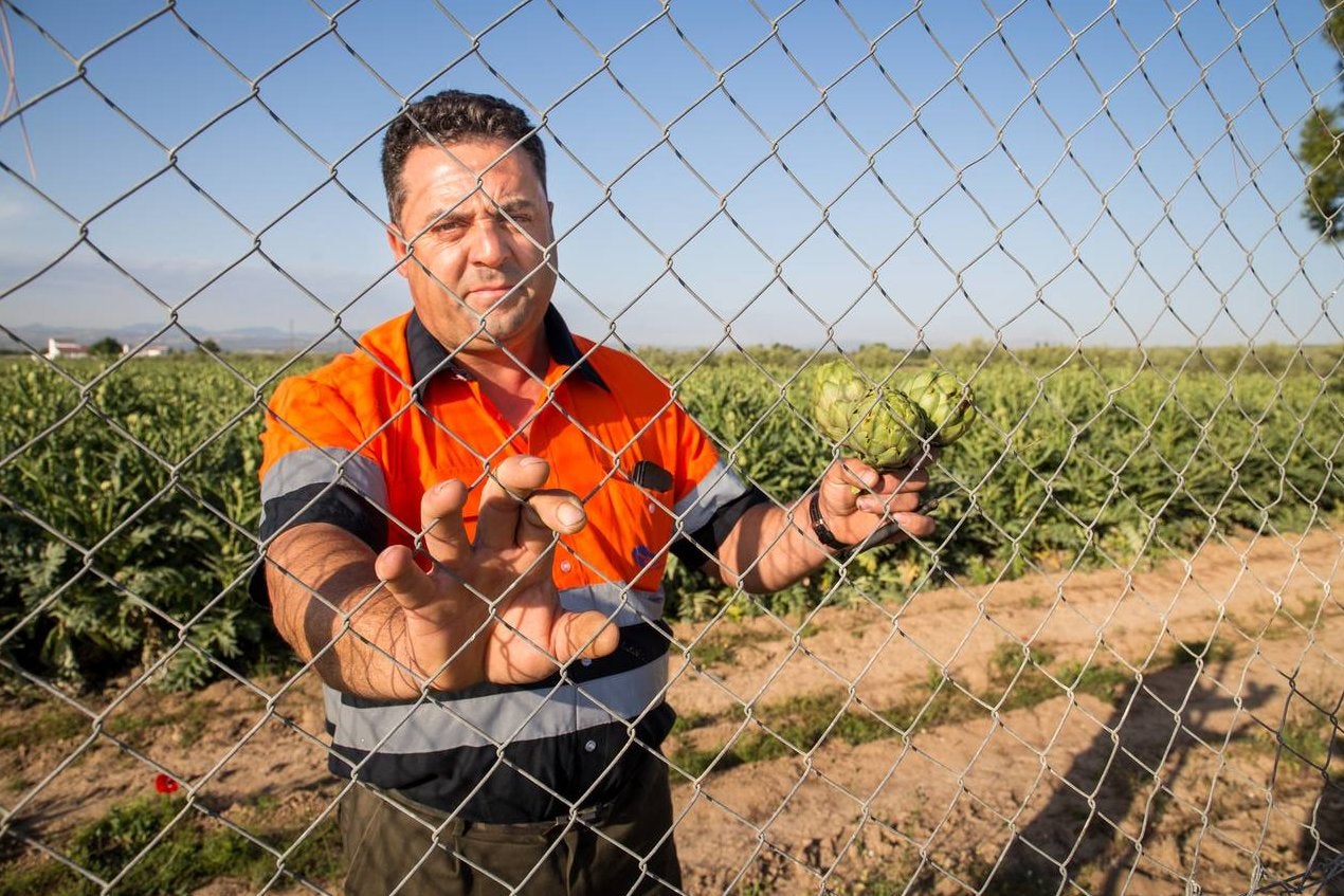 Los agricultores vallan sus fincas tras perder 50 millones por el robo de sus productos