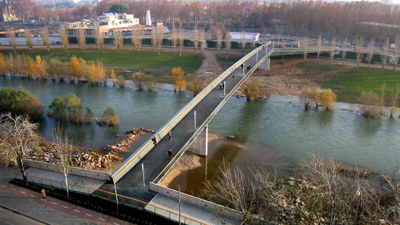 La Policía Local mata a un rottweiler que atacó a su dueño