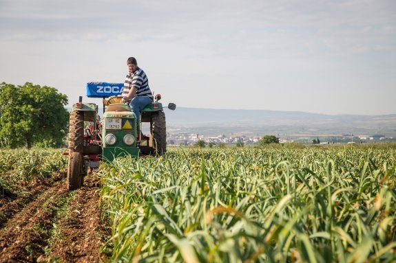 Alerta en el campo por el anuncio de que Granada perderá 13 millones al año en ayudas