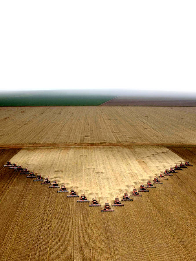 185 asesinados por defender la Naturaleza