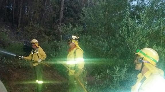 Controlado el incendio forestal en La Puerta de Segura