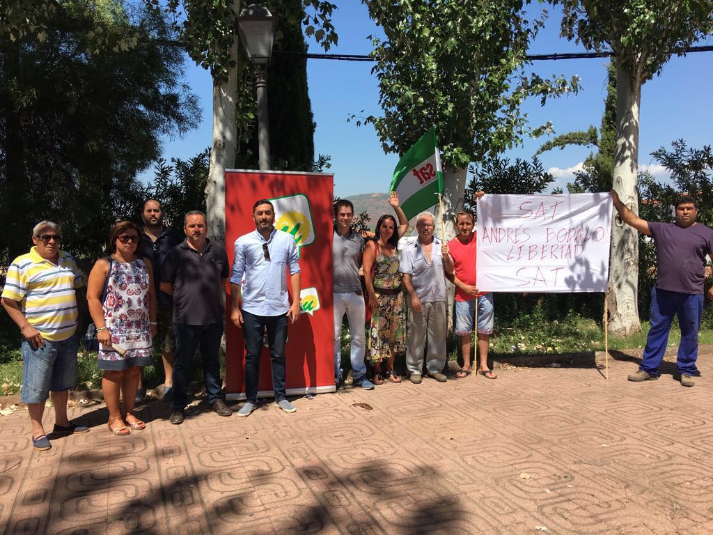 IU denuncia la licitación de la CHG de tierras de olivar cedidas a jornaleros de Arquillos