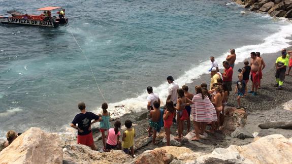 Devuelven al mar a una tortuga varada en la playa Velilla