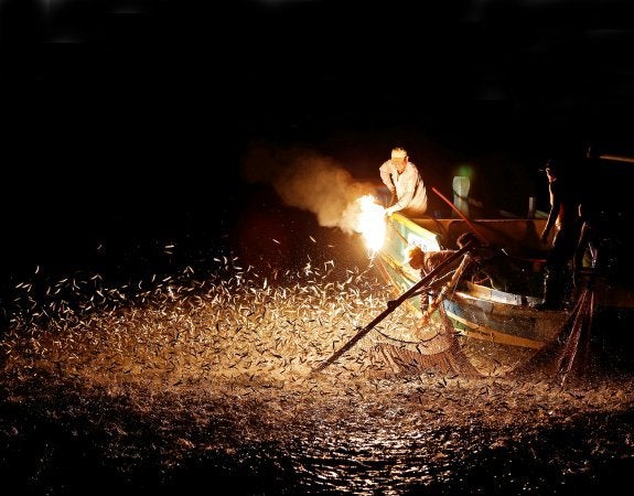 La pesca deslumbrante de Taiwán