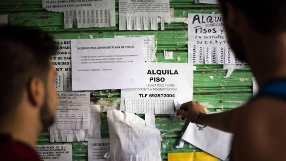 Cuatro claves a tener en cuenta a la hora de alquilar un piso para estudiantes