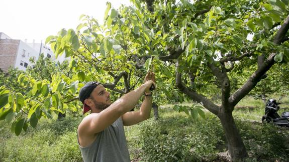 La bajada de precios en la campaña agudiza la crisis de los subtropicales