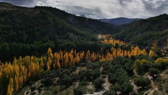 5 maravillosas rutas para disfrutar del otoño en Granada