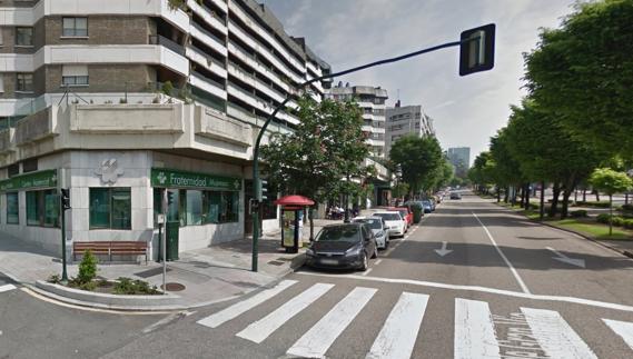 Arranca 2 árboles de la calle para "arreglar su jardín" y deja el rastro de tierra hasta su casa