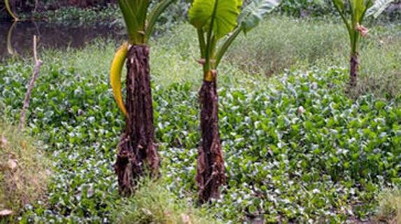 Cuando vio esta imagen, descubrió que había salvado la vida por muy poco