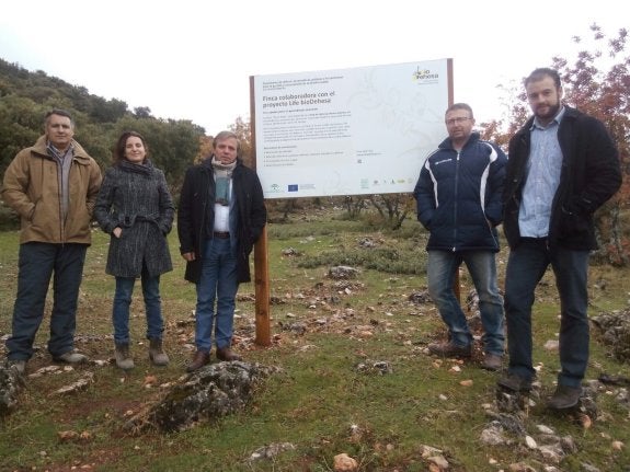 Mejoras en la dehesa de Mata Begid, un pulmón de Mágina