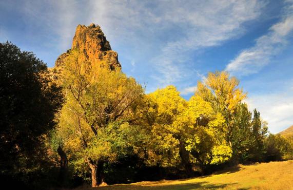 La belleza del otoño tardío