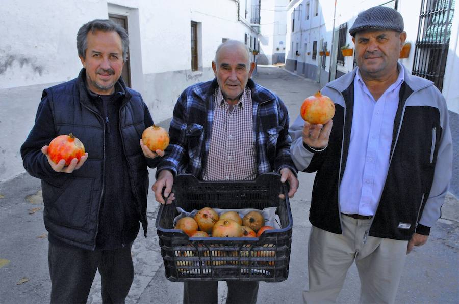 El pueblo de las granadas