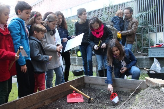 Lo que esconden los jardines del Museo