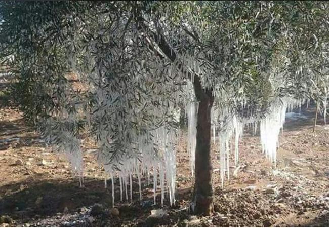 En riesgo amarillo por temperaturas de hasta -10 grados centígrados, hielo y nieve