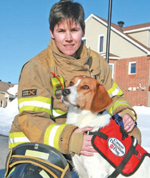 Perros que ayudan a detectar cáncer prematuro entre los bomberos