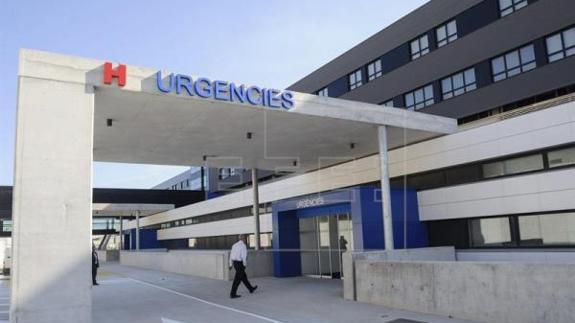 Una plaga de moscas obliga a cerrar los quirófanos del hospital de Ibiza