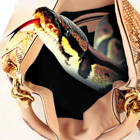 La comentada piel 'ética' de Gucci