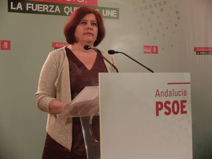 El PSOE exige la dimisión del alcalde de Gójar, que será juzgado por prevaricación