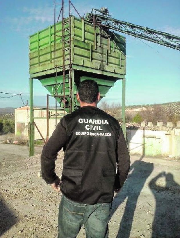 La Guardia Civil investiga a 7 personas por hurtos de aceituna