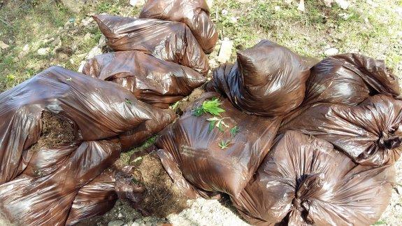 Aparecen bolsas con restos de marihuana en San Miguel