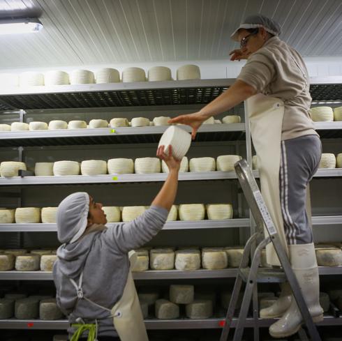 Los quesos granadinos, de premio mundial