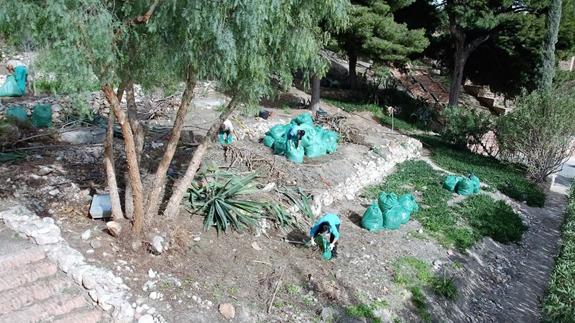 La Alcazaba recuperará la agricultura andalusí con huertos escolares